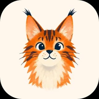 Maine Coon cat