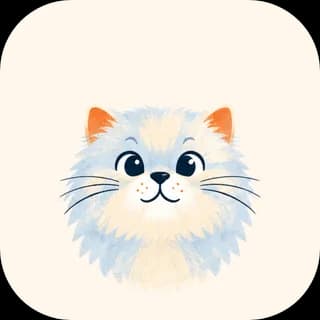 Persian Cat cat