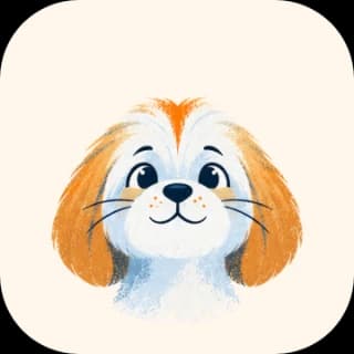 Shih Tzu dog