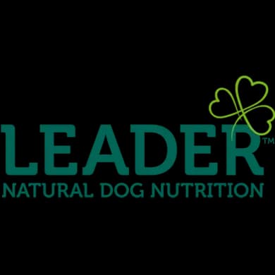 Leader logo