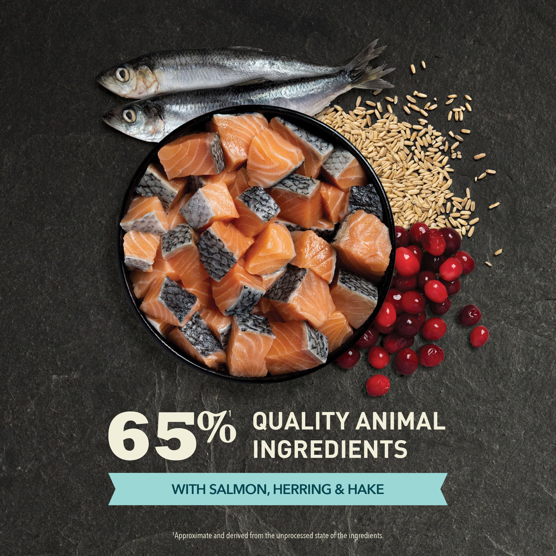 Acana Bountiful Catch Cat Dry Food